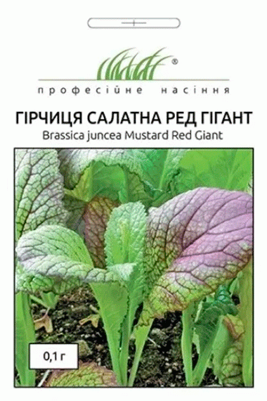 Гірчиця салатна Ред Гігант 
