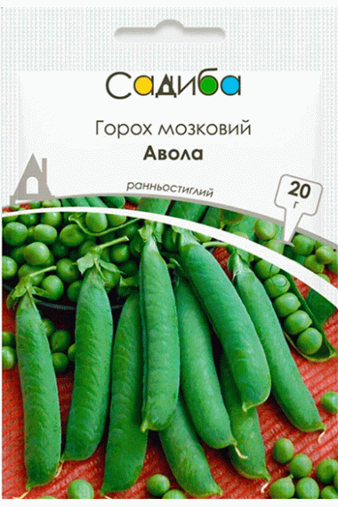 Горох Авола