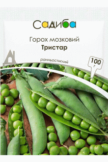 Горох овочевий Тристар (100г)