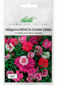 Гвоздика периста Соната суміш (0.2г)