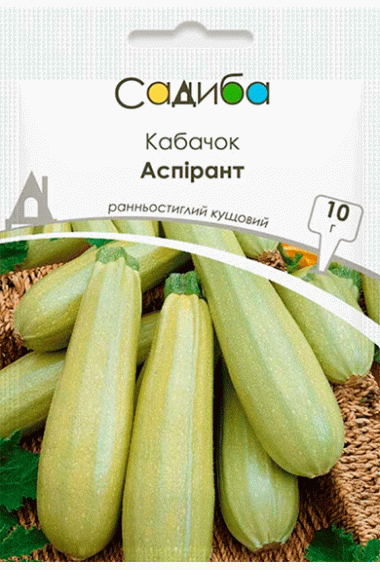 Кабачок Аспірант (10г)