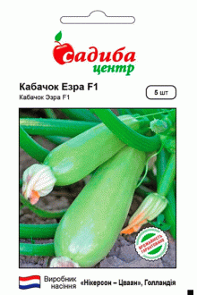 Кабачок Езра F1 (5 шт)