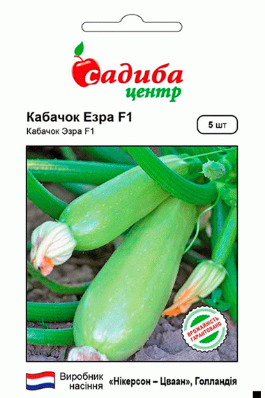 Кабачок Езра F1