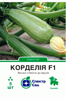 Кабачок Корделія F1 (5 шт)