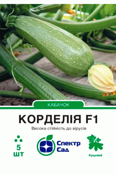 Кабачок Корделія F1