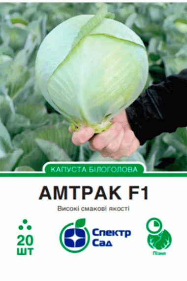Капуста білоголова Амтрак F1