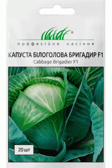 Капуста білоголова Бригадир F1 (20 шт)
