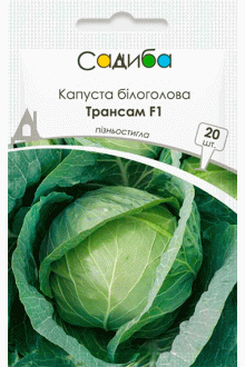 Капуста білоголова Трансам F1 (20 шт)