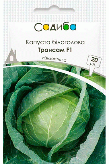 Капуста білоголова Трансам F1