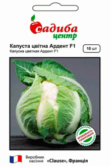 Капуста цвітна Ардент F1 (10 шт)