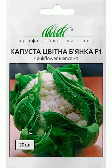 Капуста цвітна Б'янка F1 