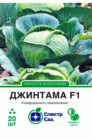 Капуста білоголова Джинтама F1