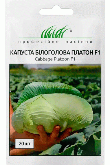 Капуста білоголова Платон F1