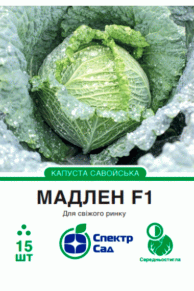 Капуста савойська Мадлен F1