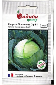 Капуста білоголова Сір F1 (20 шт)