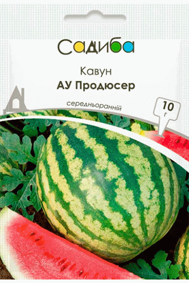 Кавун АУ Продюсер 