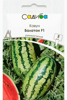 Кавун Балатон F1 (5 шт)