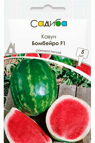 Кавун Бомбейро F1