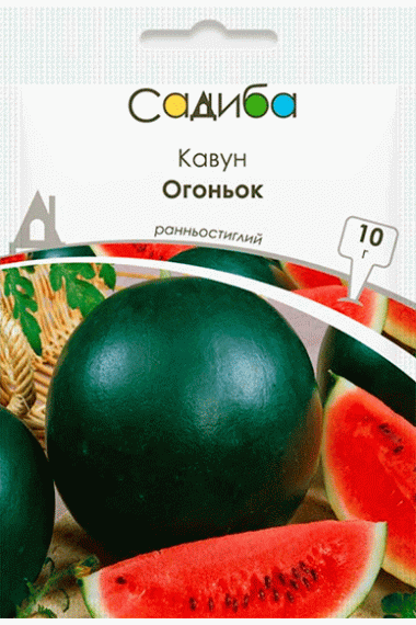 Кавун Огоньок