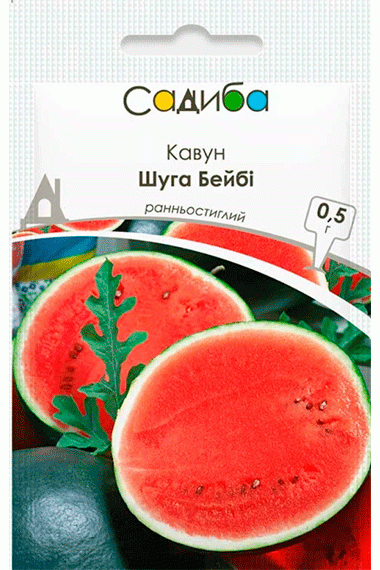 Кавун Шуга Бейбі