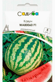 Кавун WA80060 F1 (5 шт)