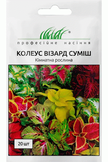 Колеус Візард суміш