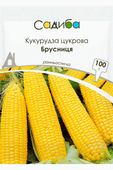 Кукурудза цукрова Брусниця