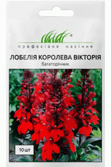 Лобелія Королева Вікторія (10шт)