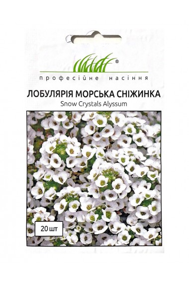 Лобулярія морська Сніжинка