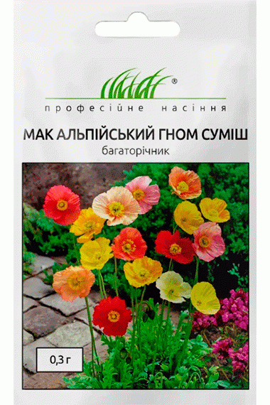 Мак альпійський Гном суміш