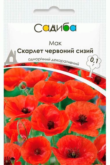 Мак Скарлет червоний сизий