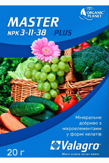Мастер 3-11-38, 20г