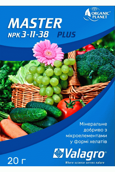 Мастер 3-11-38, 20г