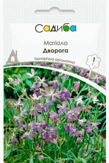 Матіола Дворога (1г)