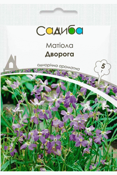 Матіола Дворога