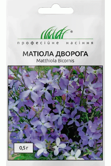 Матіола Дворога