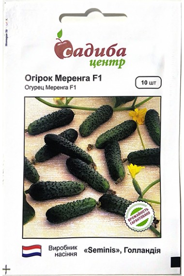 Огірок Меренга F1