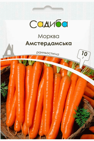 Морква Амстердамська