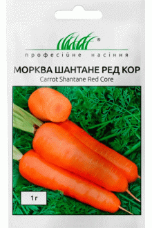 Морква Шантане Ред Кор (1г)