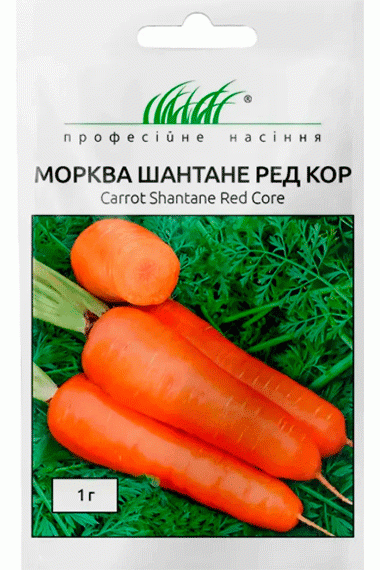 Морква Шантане Ред Кор