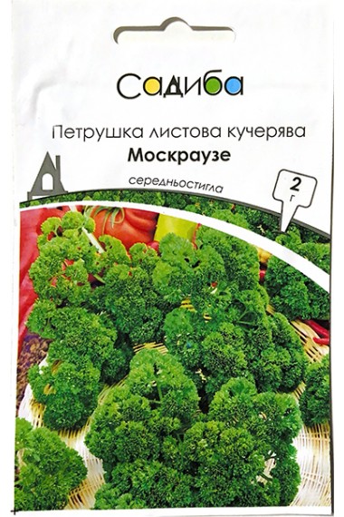 Петрушка кучерява Москраузе