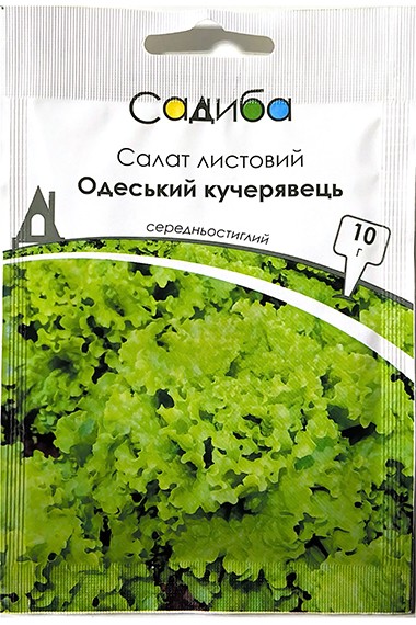 Салат листовий Одеський кучерявець