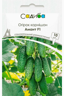 Огірок Амант F1 (10шт)