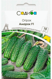 Огірок Амарок F1 (10шт)