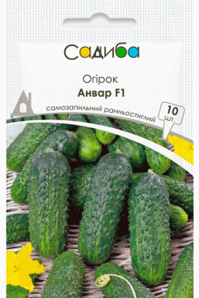 Огірок Анвар F1 (10шт)