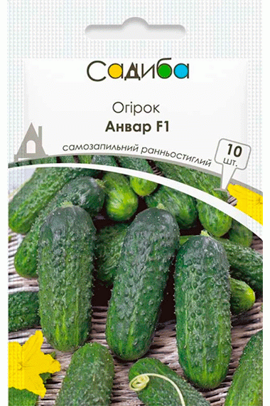 Огірок Анвар F1