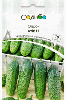 Огірок Атік F1 (10шт)