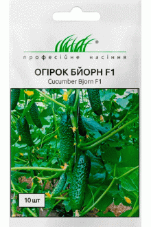 Огірок Бйорн F1 (10 шт)