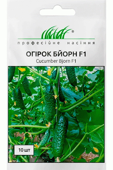 Огірок Бйорн F1