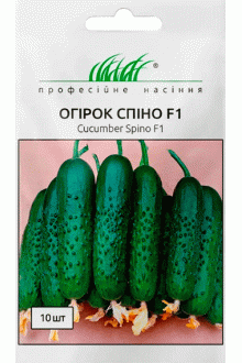 Огірок Спіно F1 (10шт)